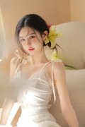 用于中国版FSD（Fullf-Drive